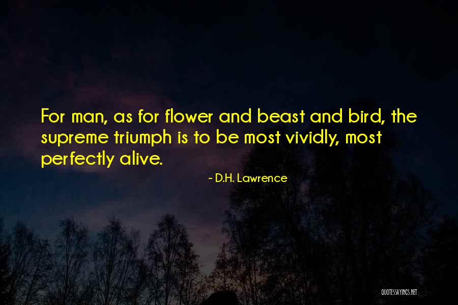 Long Paws Quotes By D.H. Lawrence Long Paws Quotes By D.H. Lawrence