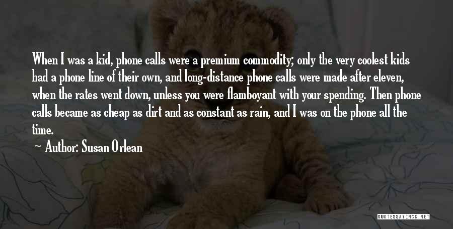 Long Phone Calls Quotes By Susan Orlean