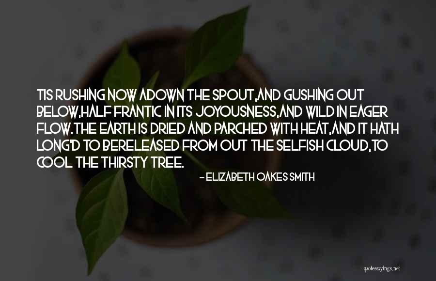 Long Rain Quotes By Elizabeth Oakes Smith Long Rain Quotes By Elizabeth Oakes Smith
