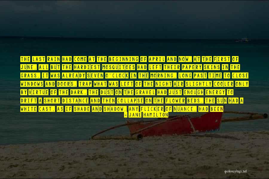 Long Rain Quotes By Jane Hamilton Long Rain Quotes By Jane Hamilton