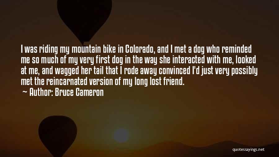 Long Riding Quotes By Bruce Cameron