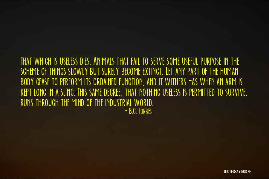 Long Runs Quotes By B.C. Forbes Long Runs Quotes By B.C. Forbes