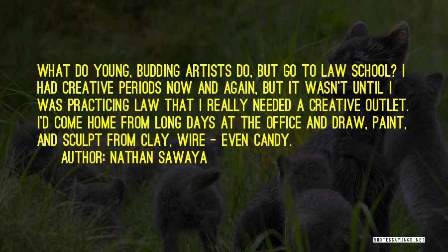 Long School Days Quotes By Nathan Sawaya
