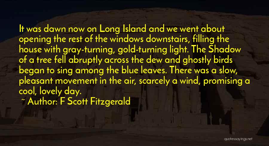 Long Shadow Quotes By F Scott Fitzgerald