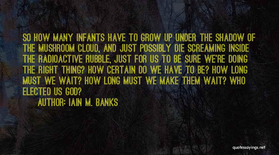 Long Shadow Quotes By Iain M. Banks