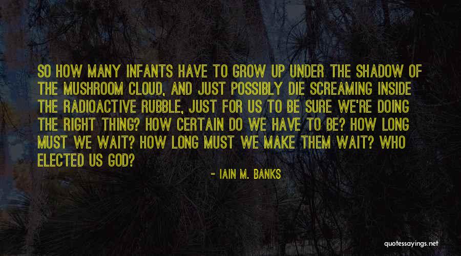 Long Shadow Quotes By Iain M. Banks