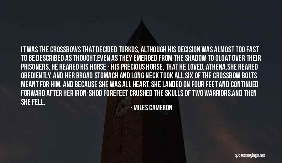 Long Shadow Quotes By Miles Cameron