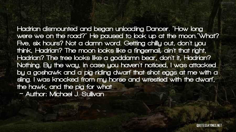 Long Shot Quotes By Michael J. Sullivan