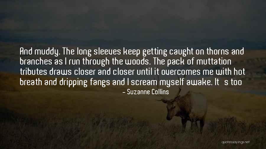 Long Sleeves Quotes By Suzanne Collins Long Sleeves Quotes By Suzanne Collins