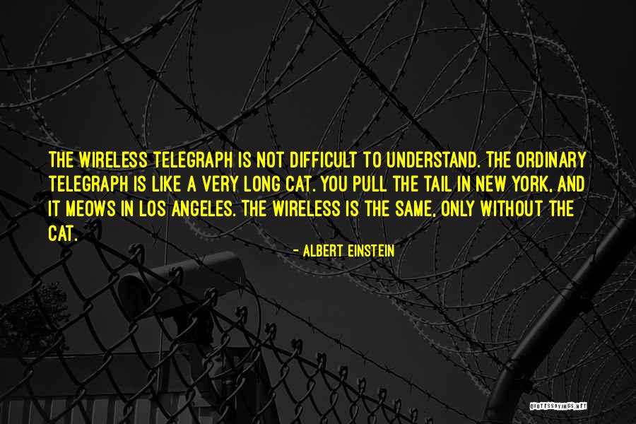 Long Tail Quotes By Albert Einstein