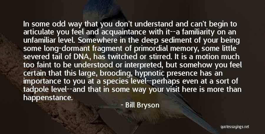 Long Tail Quotes By Bill Bryson