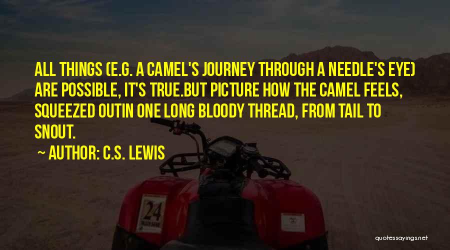 Long Tail Quotes By C.S. Lewis