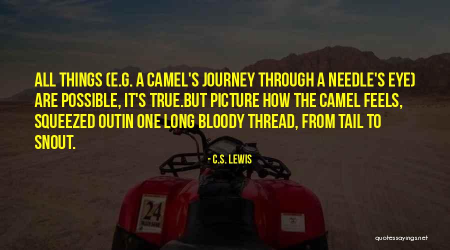 Long Tail Quotes By C.S. Lewis