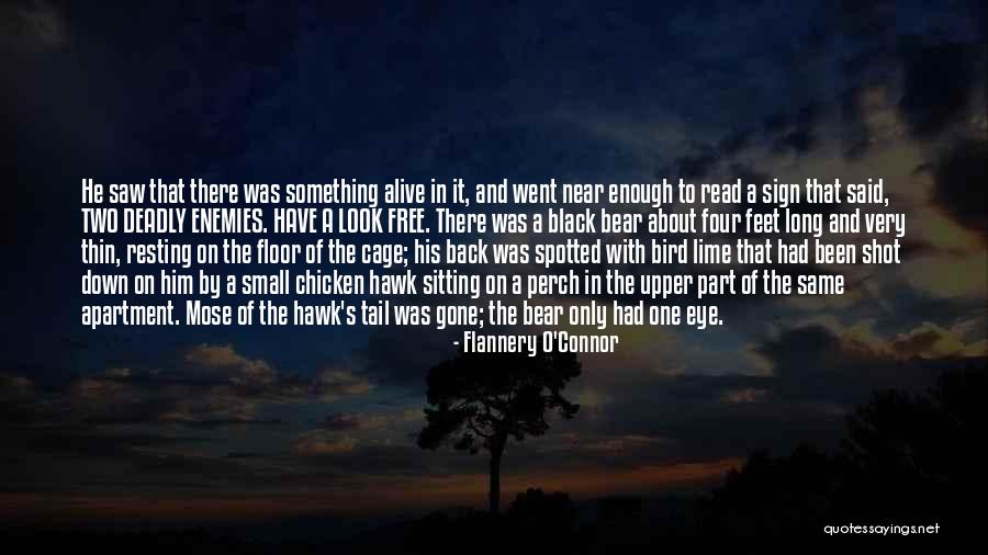 Long Tail Quotes By Flannery O'Connor