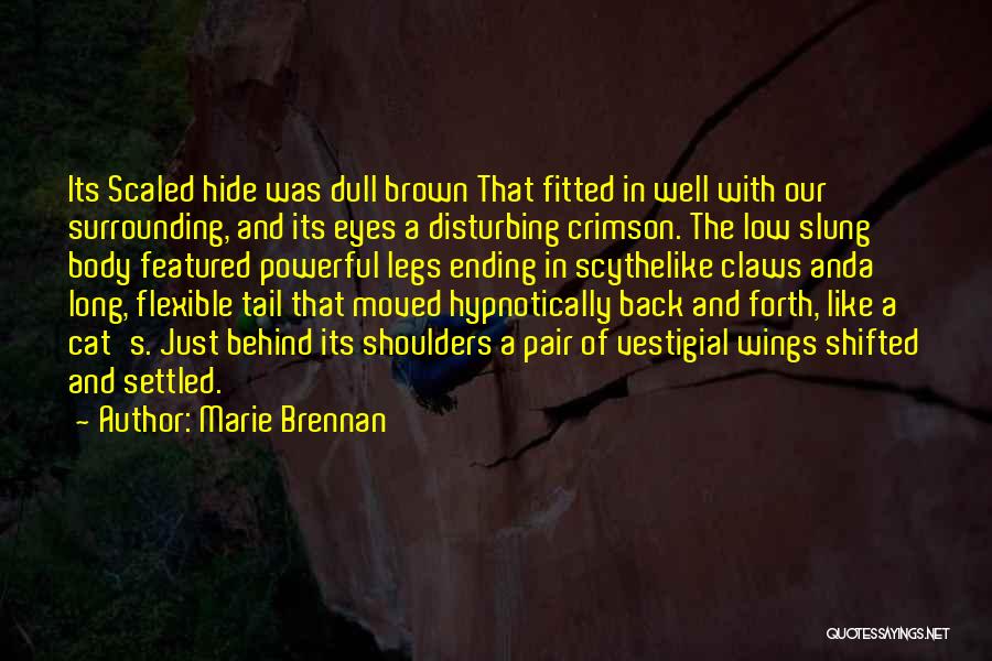 Long Tail Quotes By Marie Brennan