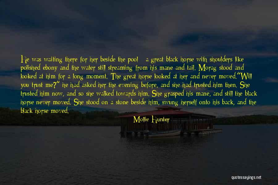 Long Tail Quotes By Mollie Hunter