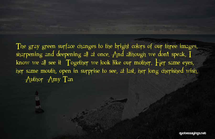 Long Tan Quotes By Amy Tan