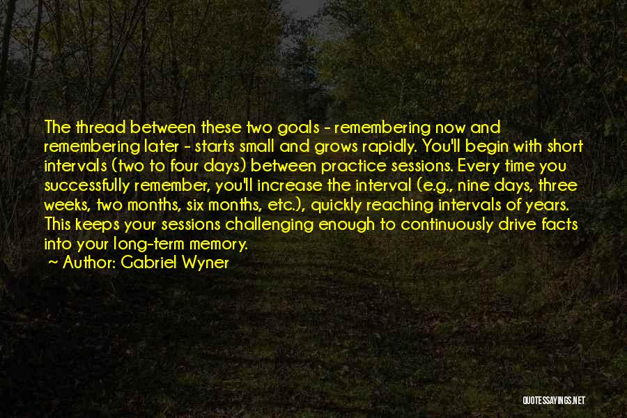 Long Term Goals Quotes By Gabriel Wyner