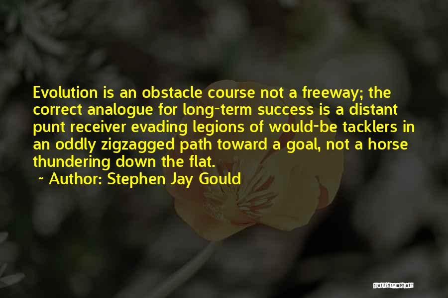 Long Term Success Quotes By Stephen Jay Gould