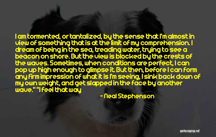 Long Toesies Quotes By Neal Stephenson Long Toesies Quotes By Neal Stephenson