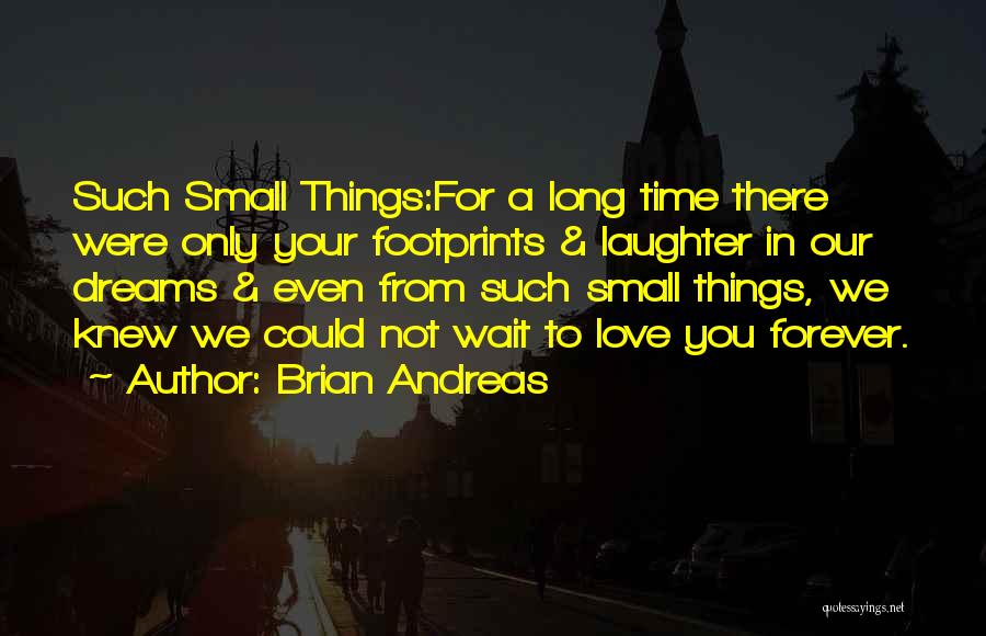 Long Wait Love Quotes By Brian Andreas