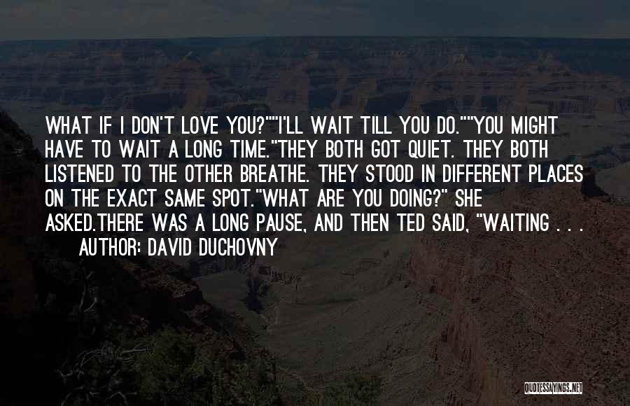 Long Wait Love Quotes By David Duchovny