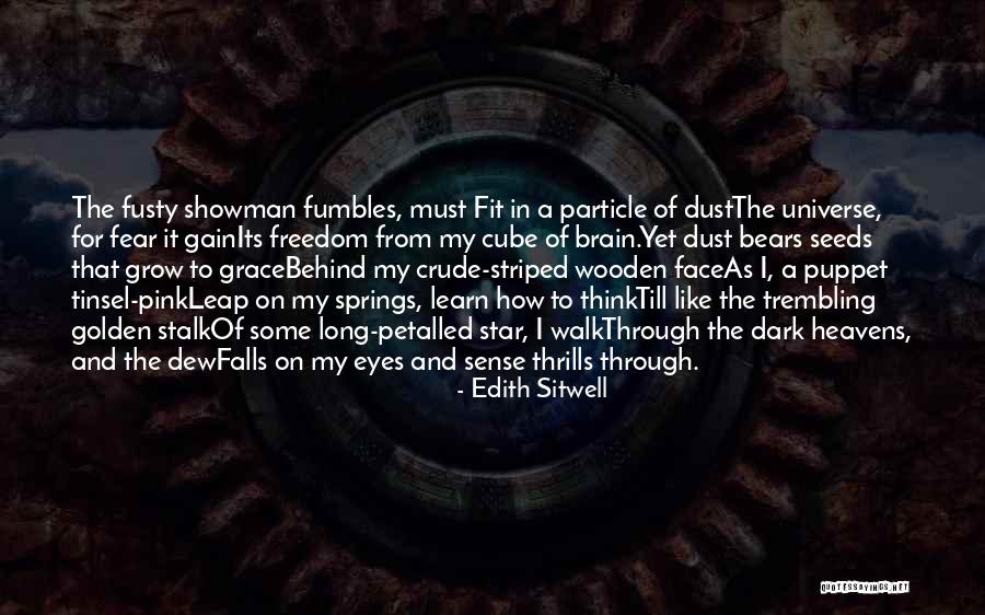 Long Walk Freedom Quotes By Edith Sitwell