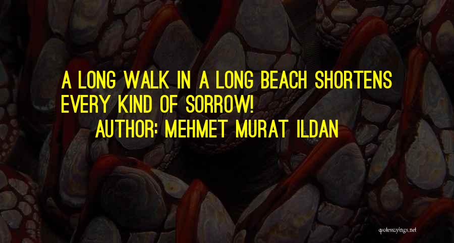 Long Walk On The Beach Quotes By Mehmet Murat Ildan