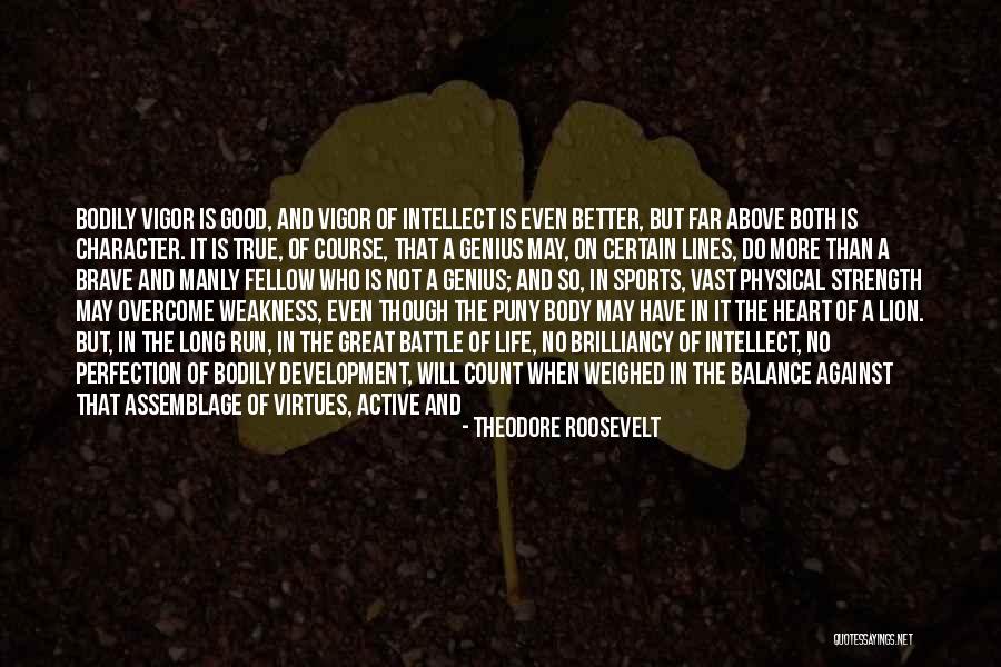 Long Way Run Quotes By Theodore Roosevelt Long Way Run Quotes By Theodore Roosevelt