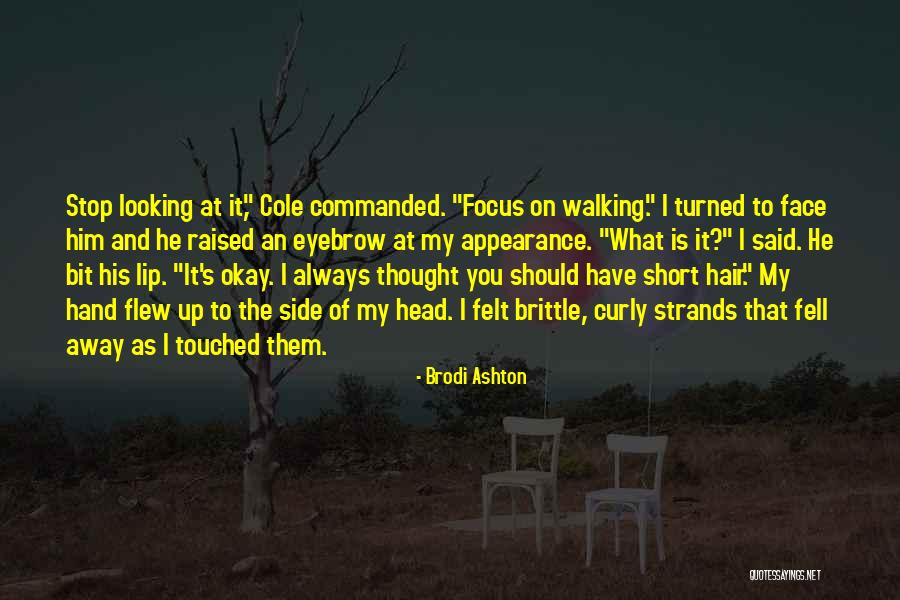 Longbrake Pottery Quotes By Brodi Ashton Longbrake Pottery Quotes By Brodi Ashton