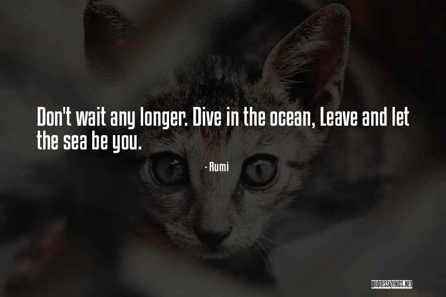 Longer You Wait Quotes By Rumi