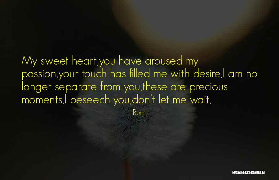 Longer You Wait Quotes By Rumi