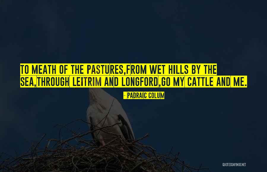 Longford Quotes By Padraic Colum Longford Quotes By Padraic Colum