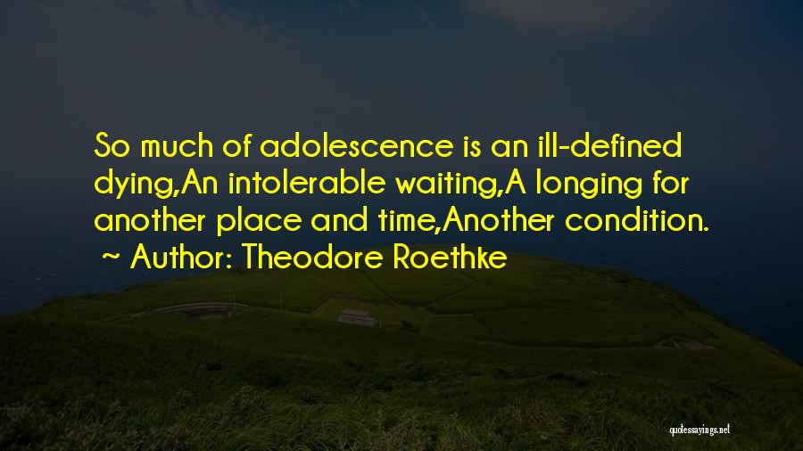 Longing For A Place Quotes By Theodore Roethke