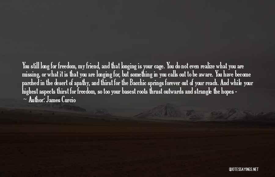Longing For Freedom Quotes By James Curcio