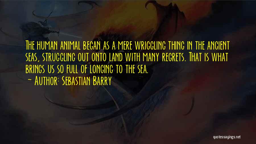 Longing For The Sea Quotes By Sebastian Barry