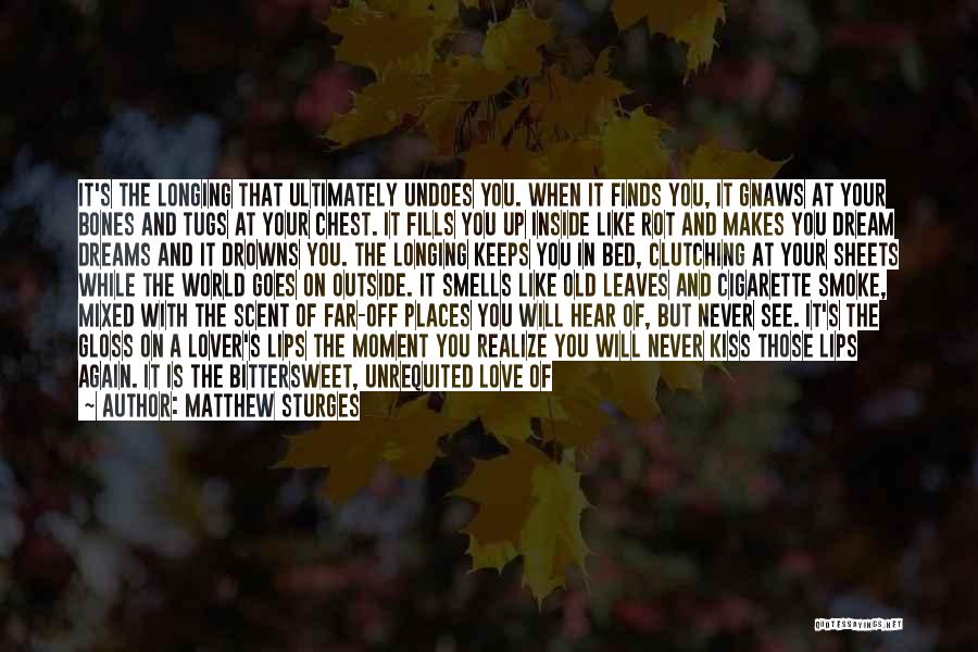 Longing To Kiss You Quotes By Matthew Sturges