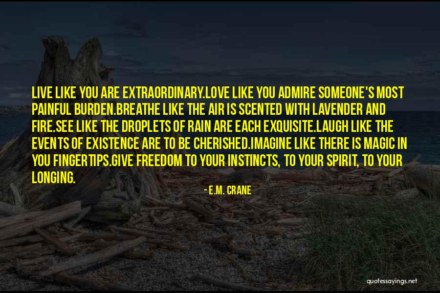 Longing To See Someone Quotes By E.M. Crane