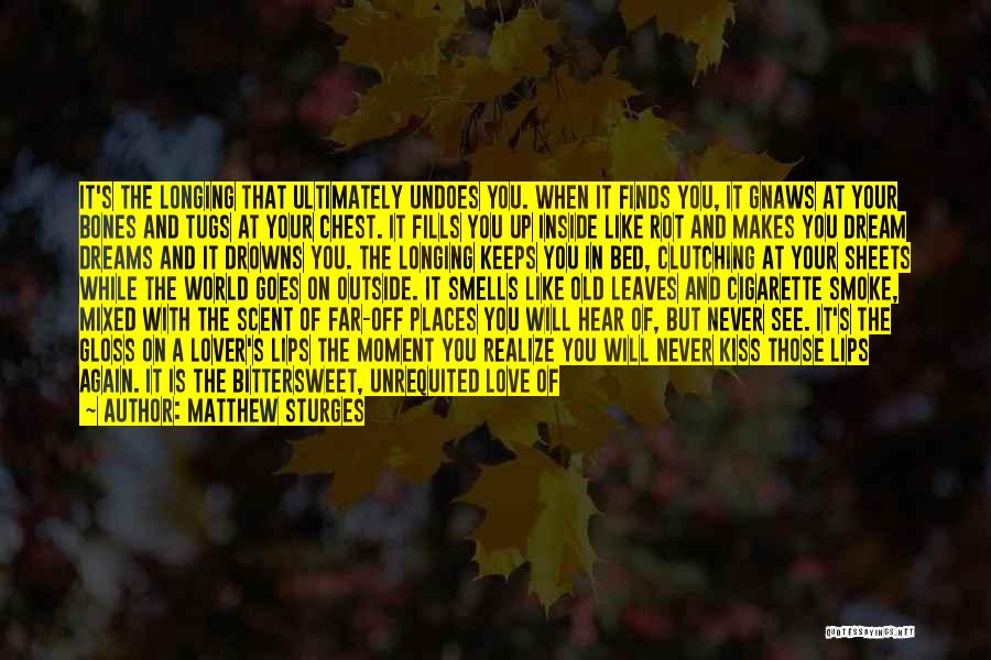 Longing To See You Again Quotes By Matthew Sturges