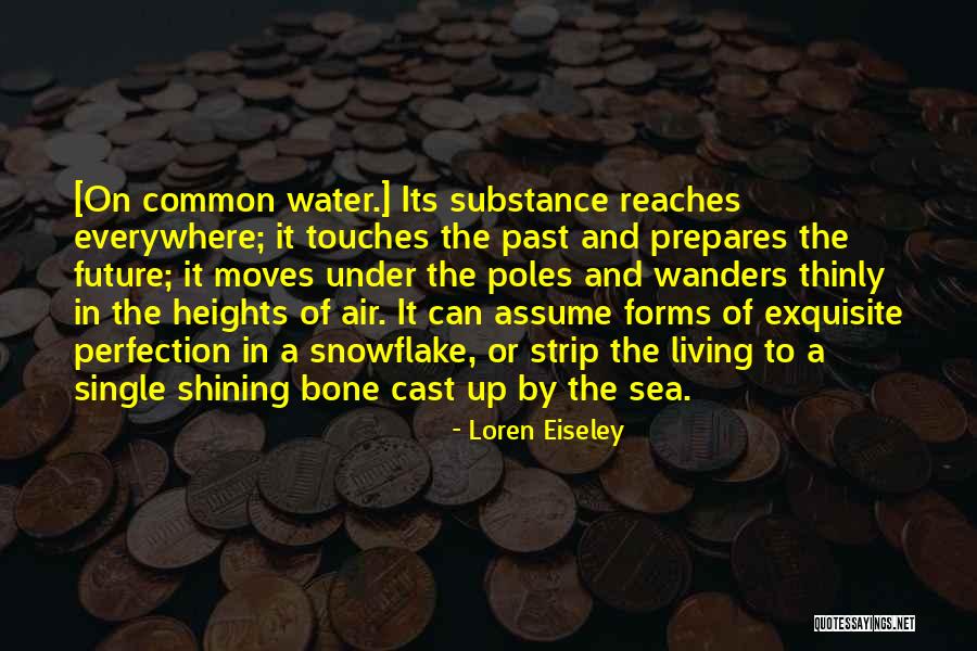 Longway California Quotes By Loren Eiseley Longway California Quotes By Loren Eiseley