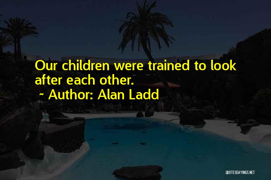 Look After Each Other Quotes By Alan Ladd