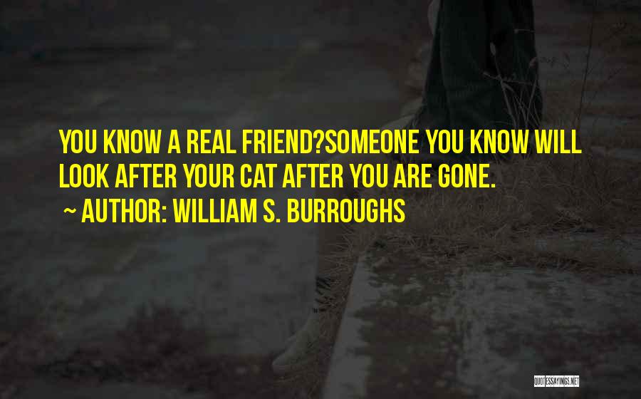 Look After Someone Quotes By William S. Burroughs