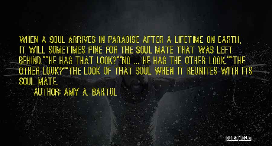 Look After The Earth Quotes By Amy A. Bartol