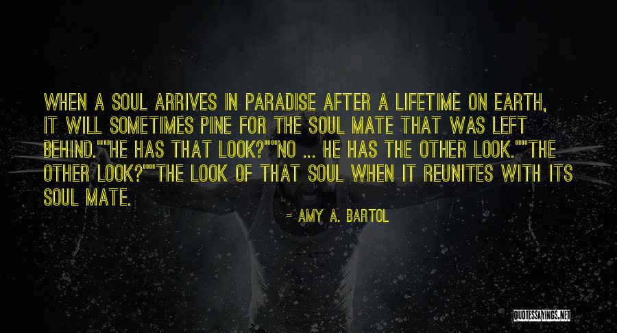 Look After The Earth Quotes By Amy A. Bartol