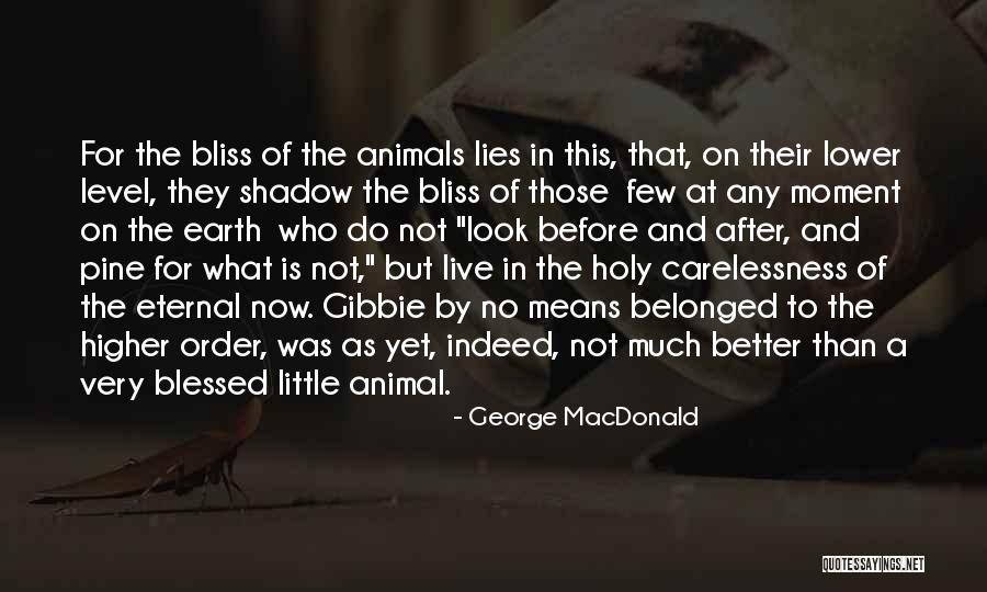 Look After The Earth Quotes By George MacDonald