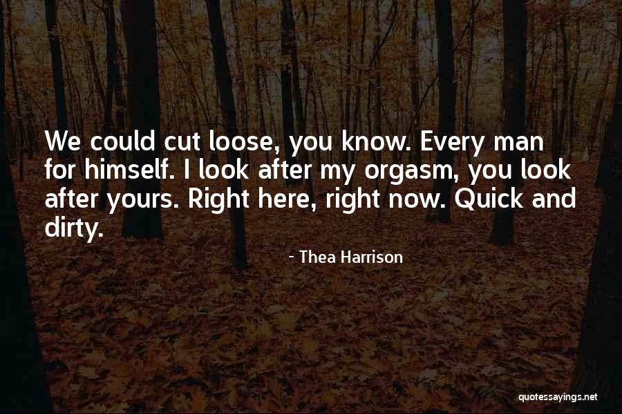 Look After You Quotes By Thea Harrison