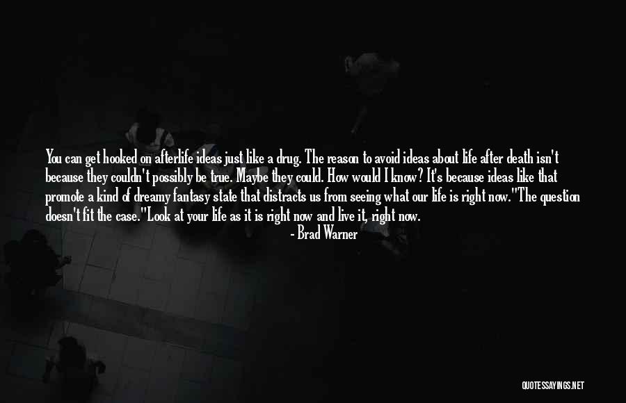 Look After Your Life Quotes By Brad Warner Look After Your Life Quotes By Brad Warner