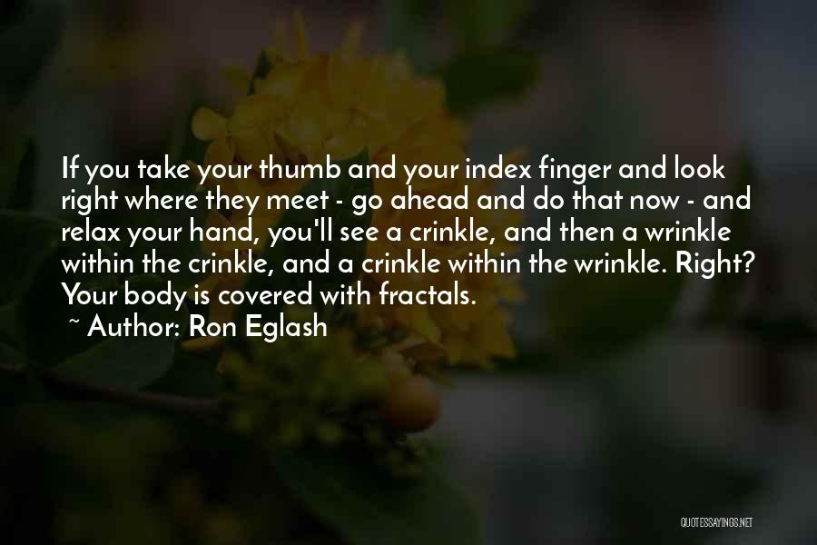 Look Ahead Quotes By Ron Eglash