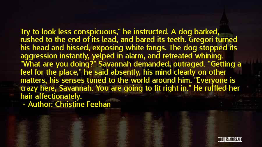 Look Around Quotes By Christine Feehan