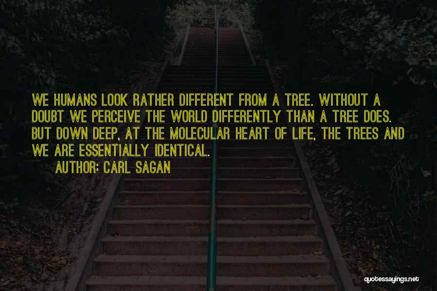 Look At Life Differently Quotes By Carl Sagan